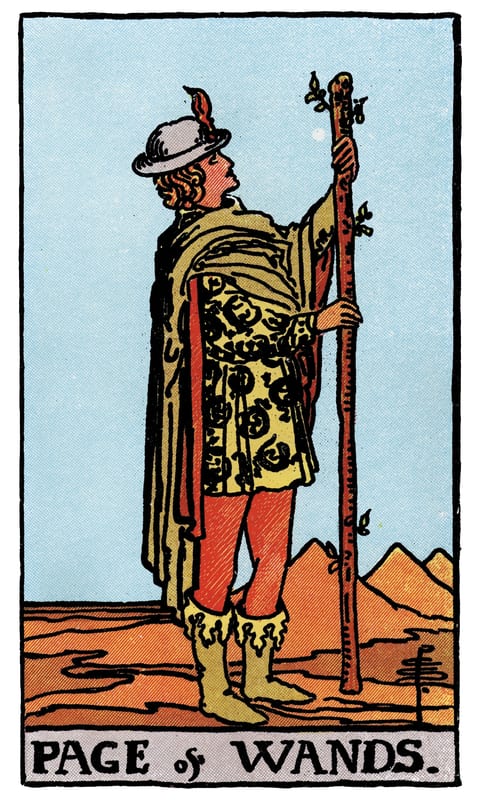 Page of Wands tarot card